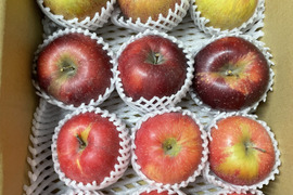 息子2歳記念出品‼️【りんごの宝石箱】農薬50％減　最低3品種