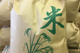 新米 秋田産 あきたこまち 白米5kg