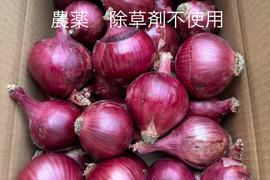 【訳あり】農薬、除草剤不使用！淡路島紫玉ねぎ3kg