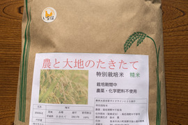 令和4年新米！希少品種たきたて白米10kg～農薬・化学肥料不使用