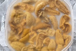 【予約販売開始】6月初旬から順次発送！北三陸たのはた産　塩水生うに　100gx３パック