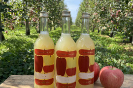 🍎６本🍎生りんごの風味そのまま！【黄金比率ブレンド】昔ながらの１００％りんごジュース　段ボール発送