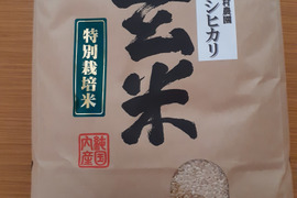 新米『絶品』西村さんちの美味しいお米　コシヒカリ　玄米5キロ