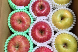 【2箱セット】☆農薬不使用りんご☆と特別栽培りんご(品種おまかせ)詰め合わせ3キロ（８〜１２玉）