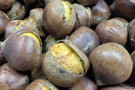 NEW☆彡氷蔵熟成栗かねこさんちの国産焼き栗（3パック）