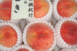たまき桃　【夏ギフト】　7月中下旬発送の早生品種　贈答用　2.8キロ前後　12から14個入り