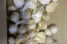 令和7年産　青森県産にんにく　バラ　５００g