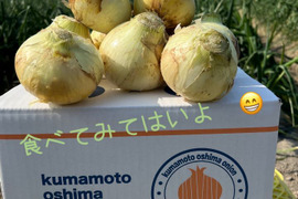 生で食べても甘く美味しい新玉ねぎ　5kg    S サイズ