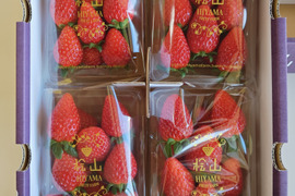 茨城県オリジナル品種 ４パック×１箱【いばらキッス】