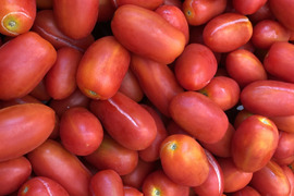 【通常より500OFF!】 美味しすぎて割れちゃったミニトマト【桃川農園のフルーツプチ】（２kg）