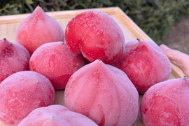 【冷凍】完熟ファーストトマト　たっぷり2.2kg！