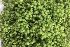 終了間近！採れたて！青森産 花山椒 200g 山椒（実・葉・花）の通販｜野菜｜食べチョク｜産地直送(産直)お