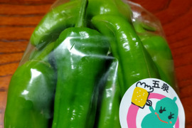 送料最安★パドロン(西洋のししとう)400g 新潟県産 ビールのおつまみに最適 農薬不使用露地栽培