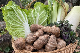 １０％ＯＦＦ！いものこ(旬)３ｋｇ＆野菜どっさり特価サービスセット