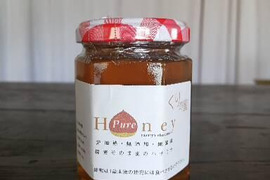 【栗の花蜜】採蜜そのままの蜂蜜！糖度79度　ミネラル多い栗蜜 国産はちみつ　180ｇ