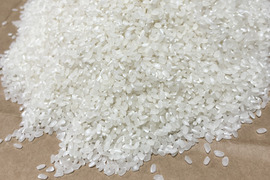 新米 令和7年度産【もりのくまさん】白米5キロ 熊本の地下水使用