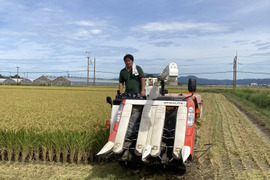 【令和7年新米予約】　　夢つくし白米4.5Kg
