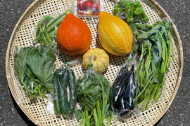 旬の野菜セット7~10品目　写真より品目、増量です。100サイズ！