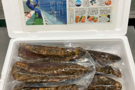 【訳あり】B1カツオ藁焼き8節