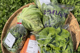 【有機JAS認証取得】安心島育ち🌱旬の野菜セット4〜6種類🥬🥕🥦✨🌱Organic Vegetables set