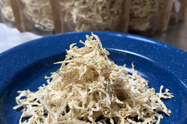 農家のドライベジ【切干大根】(農薬・化学肥料・添加物不使用)