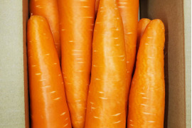 期間限定！大きなニンジン（恋ごころ）約3kg