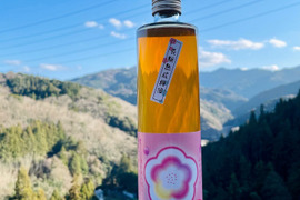 月世界を漬け込んだ甘口梅酒「長期熟成　純情梅酒」500ml　スッキリ呑める甘口梅酒　アルコール度数２１度