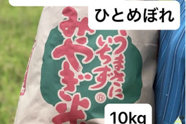 【7年産】本場宮城県産ひとめぼれ　精米15Kg 農薬を控えて栽培