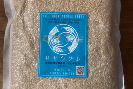 【新米】【備蓄用】幻の米ササシグレ（自然栽培）玄米3㎏（天日干し）2023年産【真空パック】