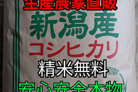 【SALE!】令和4年度新潟県長岡産コシヒカリ玄米20kg【精米無料】
