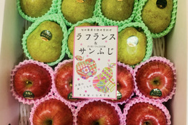 【冬ギフト】ラフランスとサンふじ5キロ詰め合わせ【のし対応します！】