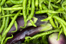 初めてのお客様限定！朝採れ自然栽培野菜とハーブのセット　５～７種類　約１～２kg