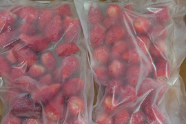 冷凍いちご1.5kg　三重県産いちご章姫　約500g
×3p