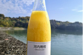 laNui labo.　河内晩柑ストレートジュース720㎖/本×12本　🍊デコポン発祥の地・不知火町より ジューシーオレンジ