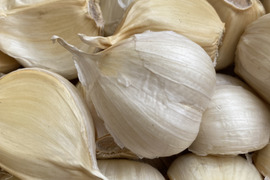 令和7年産　青森県産にんにく　バラ　５００g  訳あり