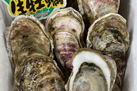 ❄️生食Ok☆厚岸産冬の殻付牡蠣❄️3Lサイズ20個入