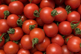【お試しパック】愛情たっぷりbaby tomato 400g　‐★★★‐