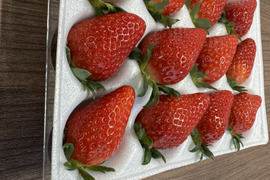 JGAP認証・千葉県産かおりのセット(2パック入り)