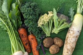 【アワード受賞福袋】有機野菜セット６品