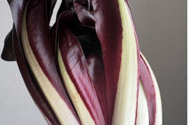 イタリア野菜の王様【タルティーボ】500g