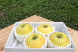 ～🍏青森りんご🍏～爽やかな甘さをお届けします『シナノゴールド』お試しサイズ４個から６個入り