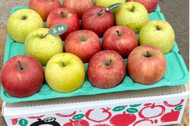 ★大人気★🍎葉とらずふじ🍏王林（家庭用１３～２０玉）約５キロ　ID124974