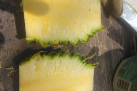 石垣島蜜蜂農園のパイナップル