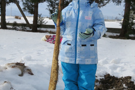 【期間限定】とろ～り雪中自然薯とアイガモ育ちの有機ＪＡＳ認証つや姫セット（２００ｇ、白米５ｋｇ）
