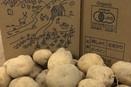 有機栽培北あかり５ｋｇ+有機栽培玉ねぎ８ｋｇのセット