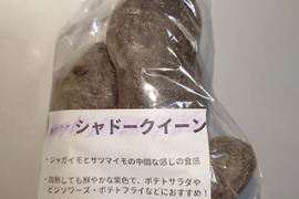 彩り2種!!旬のジャガイモセット(合計1Kg)