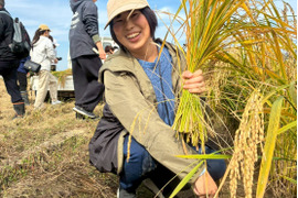 【山田錦　希少　もちもち食感】化学肥料・農薬不使用「山田錦」精米5kg