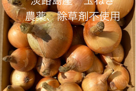 農薬、除草剤不使用！淡路島玉ねぎ4kg ペコロス1kg 計5kg
