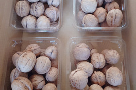 【信濃くるみ】くるみ（約１㎏、殻付き）