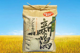 【父の日ギフト】❇️味に自信あり🎁熨斗対応🎉期間特別限定価格🌅令和4年5kg白米🌾お米ソムリエが作る🌾新潟県五泉市四ヶ村産🌾特栽米コシヒカリ🍚🙋なんと😲2500円❇️【翌日発送 毎日便 対応】